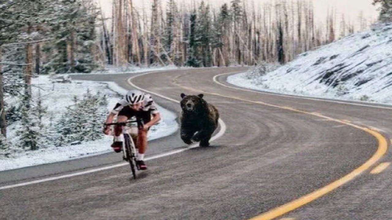 Protecting Yourself in the Backcountry